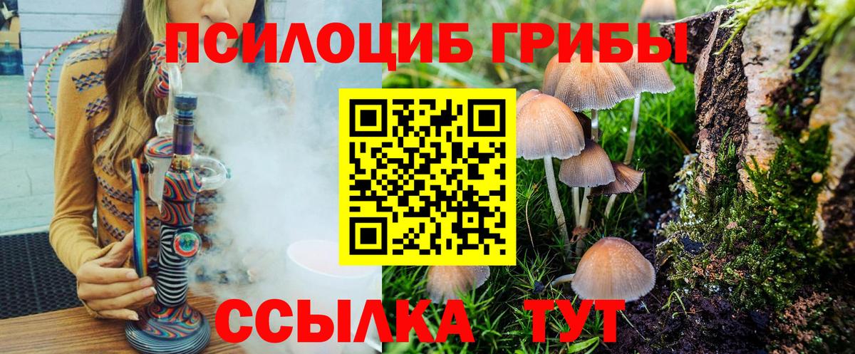 Псилоцибиновые грибы MAGIC MUSHROOMS  Вход с VPN  Шелехов  Псилоцибиновые грибы MAGIC MUSHROOMS 